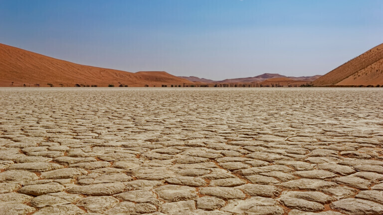 Dead vlei