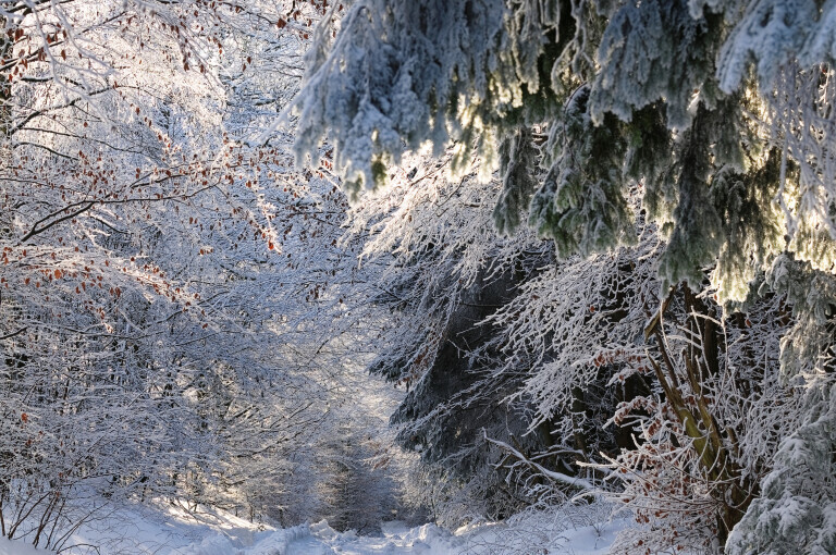 Winter Impressionen