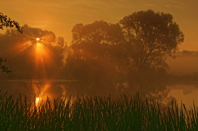 Herbstlicher Sonnenaufgang an einem idyllischen Weiher