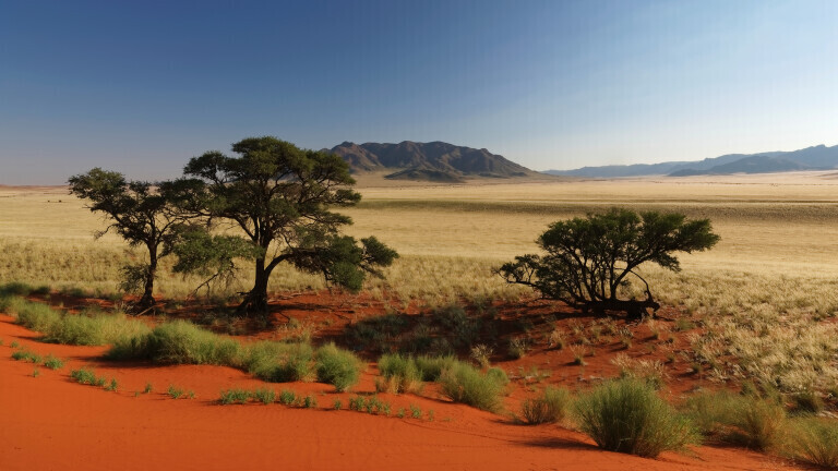 Namib Rand – Dünenlandschaft mit Tirasbergen