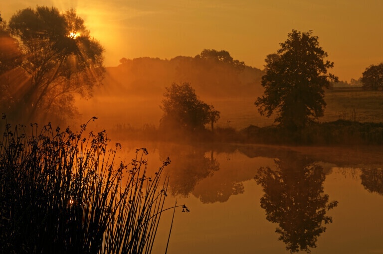 Herbstlicher Sonnenaufgang an einem idyllischen Weiher