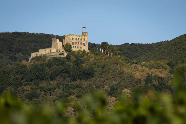Hambacher Schloss